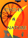 cycles et nature : magasin de vente et de reparation de velo a bordeaux, Coupe d'Aquitaine de DH à Sainte Croix du Mont 2010